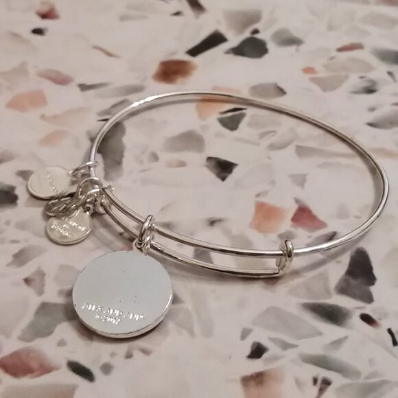 "We The North" Toronto Raptors Alex and Ani Bracelet-- Rare Find! - Picture 6 of 6